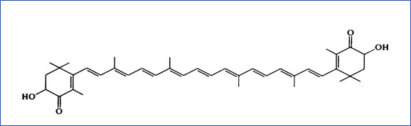 antioxydant1