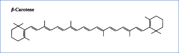 antioxydant2