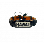 hawaii_noir-removebg-preview