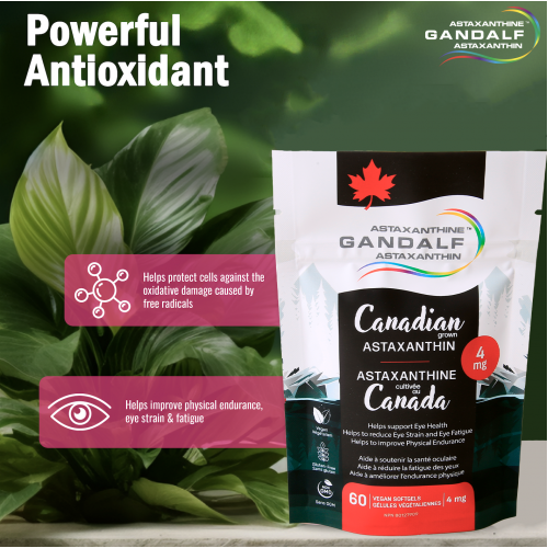 astaxanthin_can1_copie