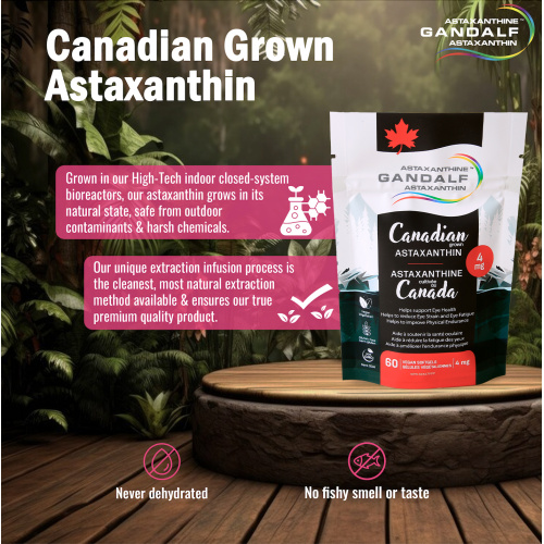 astaxanthin_can2_copie