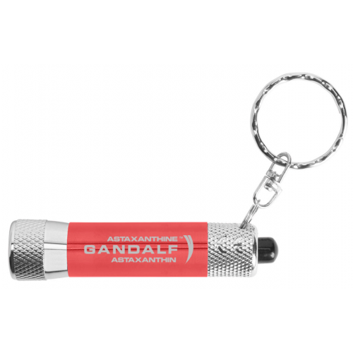flashlight